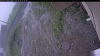 Web Cam Image - Fri, 06/26/2026 1:29pm PDT