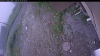 Web Cam Image - Mon, 06/29/2026 4:09am PDT