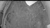 Web Cam Image - Mon, 06/01/2026 8:24pm PDT