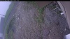 Web Cam Image - Fri, 06/05/2026 4:54am PDT