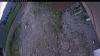 Web Cam Image - Mon, 06/15/2026 5:09am PDT