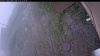 Web Cam Image - Thu, 07/02/2026 10:24am PDT