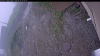 Web Cam Image - Sun, 06/07/2026 7:14am PDT