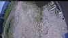 Web Cam Image - Thu, 06/18/2026 10:24am PDT