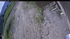 Web Cam Image - Tue, 06/23/2026 9:24am PDT