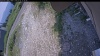 Web Cam Image - Sun, 07/05/2026 12:09pm PDT