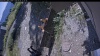 Web Cam Image - Sun, 09/06/2026 11:49am PDT