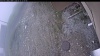 Web Cam Image - Wed, 05/13/2026 12:04pm PDT