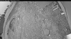 Web Cam Image - Thu, 06/04/2026 4:09am PDT