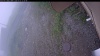 Web Cam Image - Thu, 07/02/2026 10:09am PDT