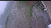 Web Cam Image - Fri, 07/03/2026 10:04am PDT