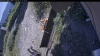 Web Cam Image - Mon, 08/31/2026 12:49pm PDT