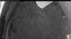 Web Cam Image - Sun, 05/17/2026 3:59am PDT