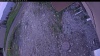 Web Cam Image - Mon, 06/01/2026 8:04pm PDT