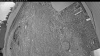 Web Cam Image - Thu, 06/04/2026 4:04am PDT