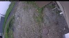 Web Cam Image - Fri, 06/05/2026 4:34am PDT