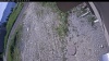 Web Cam Image - Tue, 06/23/2026 9:14am PDT