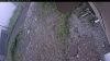 Web Cam Image - Fri, 07/03/2026 9:59am PDT