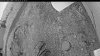 Web Cam Image - Tue, 07/01/2025 3:34pm PDT