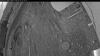Web Cam Image - Sat, 05/02/2026 4:34am PDT