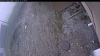 Web Cam Image - Wed, 05/13/2026 11:54am PDT