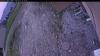 Web Cam Image - Mon, 06/01/2026 7:59pm PDT