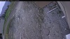 Web Cam Image - Mon, 05/11/2026 7:14pm PDT