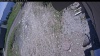 Web Cam Image - Sun, 05/31/2026 12:09pm PDT