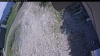 Web Cam Image - Mon, 06/01/2026 12:39pm PDT