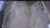 Web Cam Image - Mon, 05/11/2026 8:59am PDT