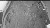 Web Cam Image - Fri, 06/05/2026 4:24am PDT