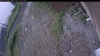 Web Cam Image - Fri, 07/03/2026 9:49am PDT