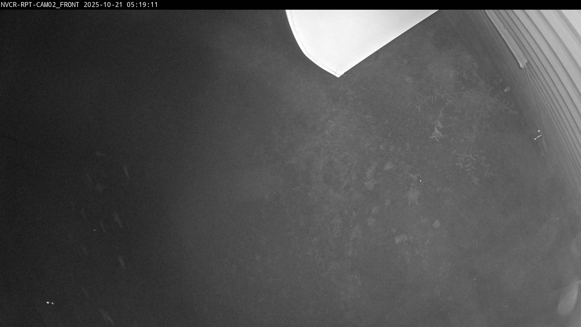 Web Cam History Image - 621