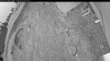 Web Cam Image - Thu, 06/04/2026 3:49am PDT
