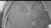 Web Cam Image - Mon, 06/29/2026 3:29am PDT
