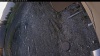 Web Cam Image - Tue, 05/05/2026 4:49am PDT