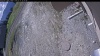 Web Cam Image - Mon, 05/11/2026 8:49am PDT