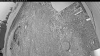 Web Cam Image - Thu, 06/04/2026 3:44am PDT