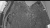Web Cam Image - Wed, 06/10/2026 3:09am PDT