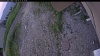 Web Cam Image - Sun, 06/21/2026 6:19pm PDT