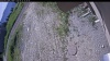 Web Cam Image - Tue, 06/23/2026 8:54am PDT