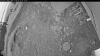Web Cam Image - Mon, 06/29/2026 3:24am PDT
