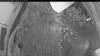 Web Cam Image - Thu, 07/02/2026 8:49pm PDT