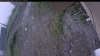 Web Cam Image - Fri, 07/03/2026 9:39am PDT