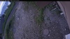 Web Cam Image - Wed, 07/08/2026 4:14am PDT
