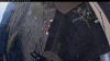Web Cam Image - Sun, 10/11/2026 7:54am PDT