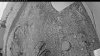 Web Cam Image - Tue, 07/01/2025 3:14pm PDT