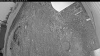 Web Cam Image - Thu, 06/04/2026 3:39am PDT