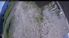 Web Cam Image - Mon, 06/22/2026 8:24am PDT