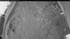 Web Cam Image - Fri, 06/05/2026 4:04am PDT